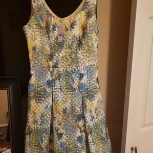 NY&C dress